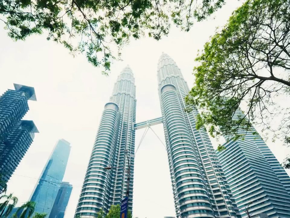 Petronas Towers filmed from below through the trees